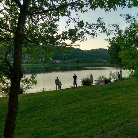 Zacisze Nad Sanem Daire Krzemienna  Dış mekan fotoğraf
