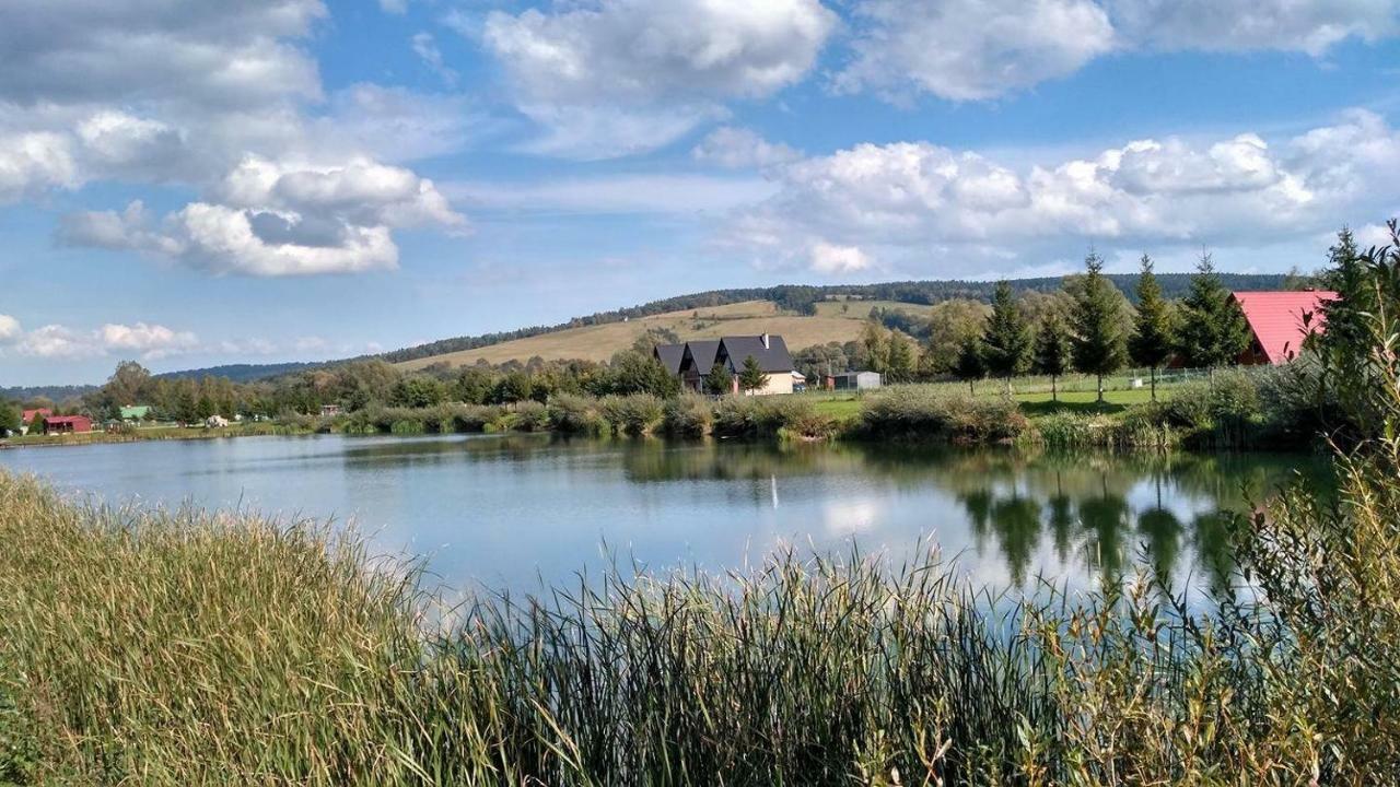 Zacisze Nad Sanem Daire Krzemienna  Dış mekan fotoğraf