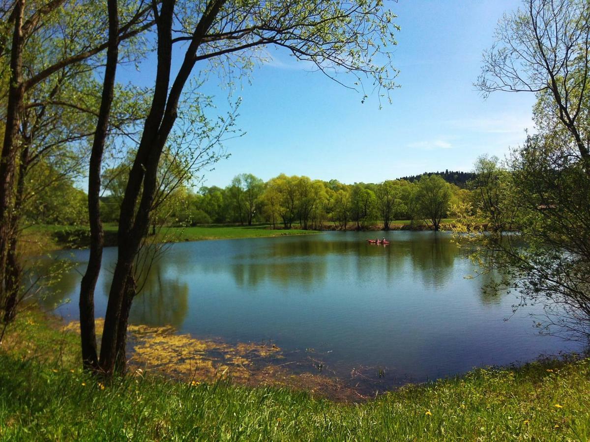Zacisze Nad Sanem Daire Krzemienna  Dış mekan fotoğraf